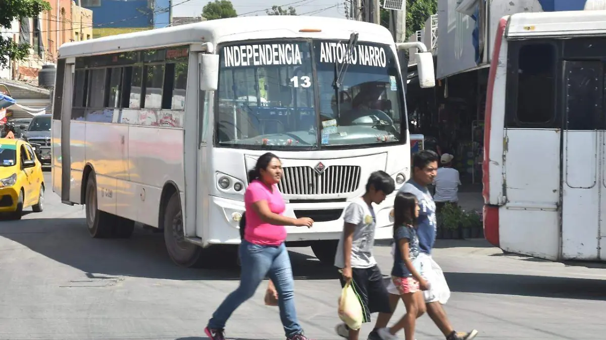 14 100 CAMIONES NUEVOS PARA EL TRANSPORTE DE TORREÓN3